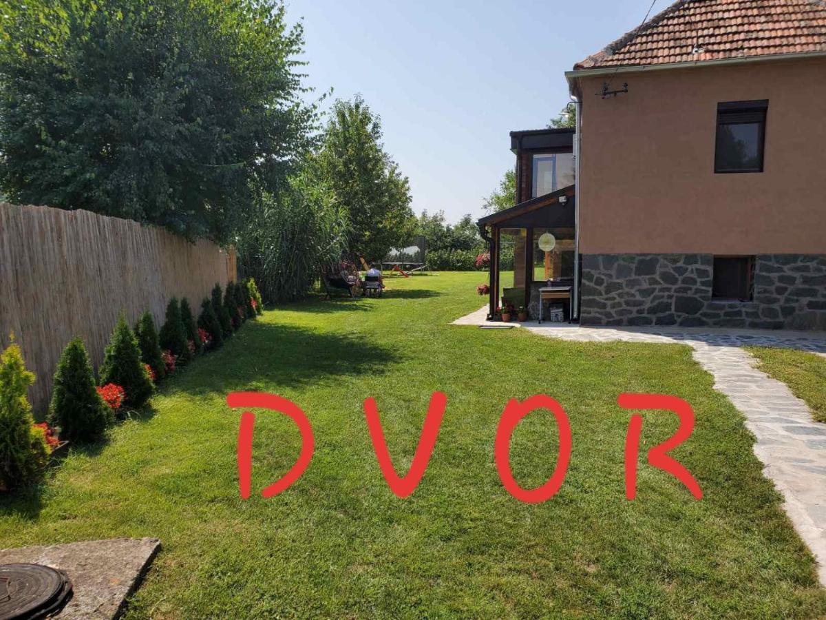 Villa Dvor à Donja Toponica Extérieur photo