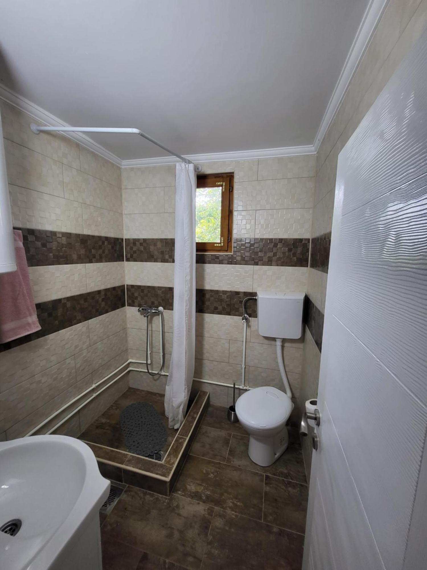 Villa Dvor à Donja Toponica Extérieur photo
