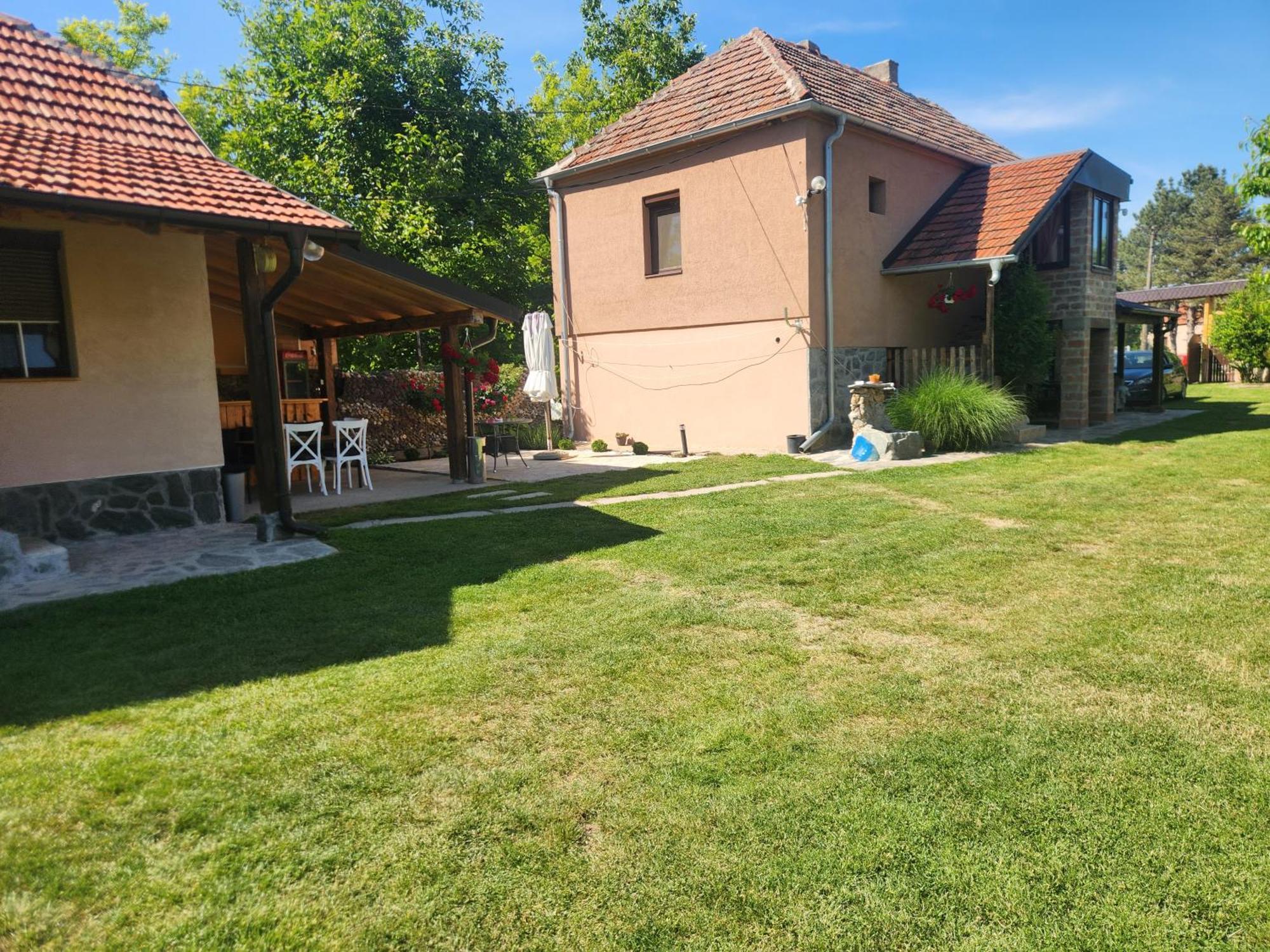Villa Dvor à Donja Toponica Extérieur photo